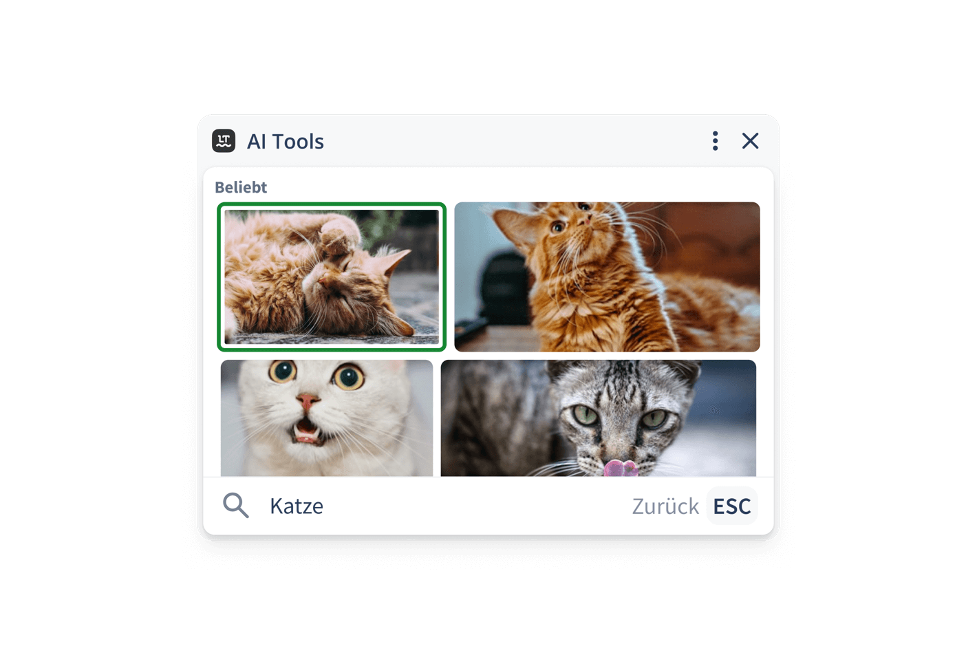GIFs einfügen leicht gemacht