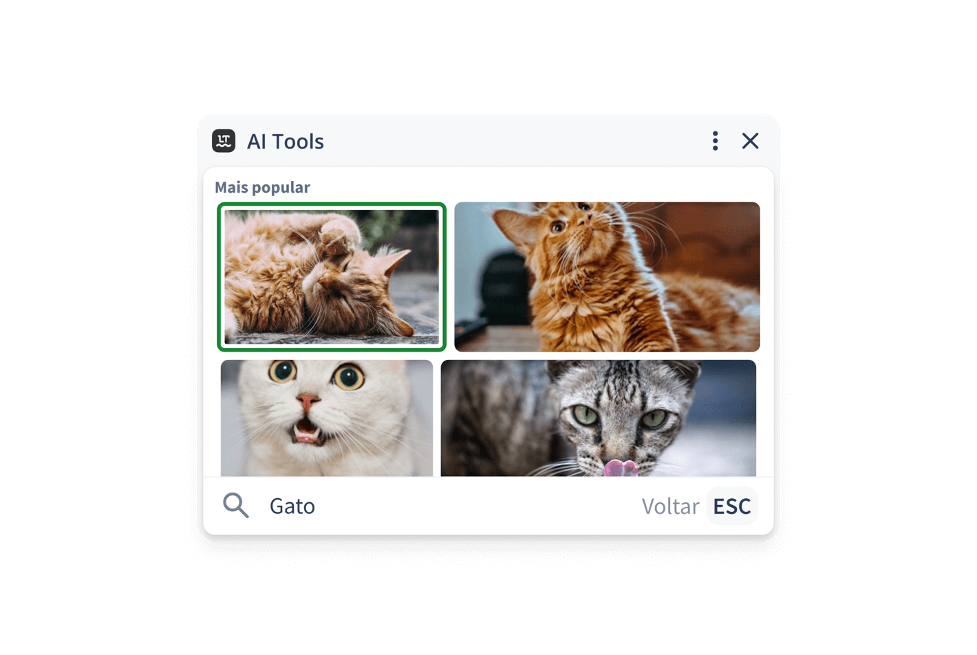 Insira GIFs em qualquer lugar
